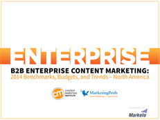 B2B Enterprise Content Marketing:  2014 Benchmarks, Budgets, and Trends