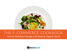 The e-Commerce Cookbook: How to Maximize, Manage, and Measure Organic Search