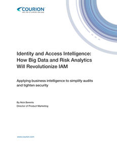 Identity and Access Intelligence: How Big Data and Risk Analytics Will Revolutionize IAM