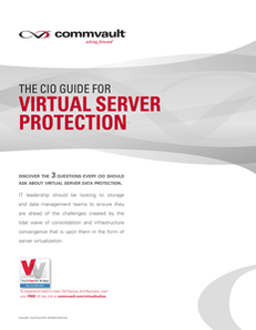 The CIO Guide for Virtual Server Protection