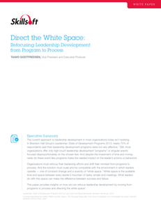 Direct the White Space:  Refocusing Leadership Development from Program to Process