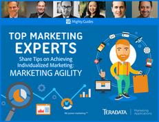 Top Marketing Experts Share Tips on Achieving Individualized Marketing:  Marketing Agility