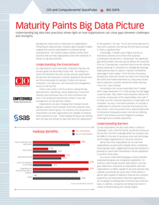 QuickPulse – Maturity Paints Big Data Picture