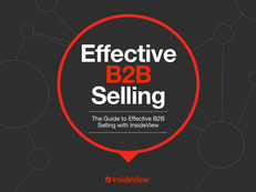 Effective B2B Selling: The Guide to Effective B2B Selling with InsideView