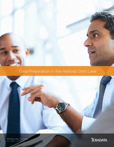 Significantly Improve Productivity in the Hadoop Data Lake