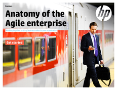 Anatomy of the Agile Enterprise