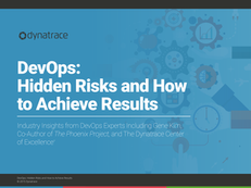 DevOps: Hidden Risks and How to Achieve Results