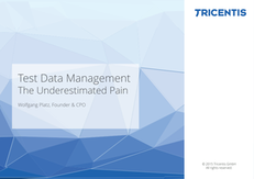 Test Data Management: The Underestimated Pain