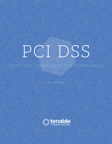 PCI DSS: Practical Guidelines for Compliance
