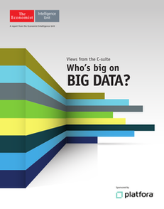 Who’s Big on Big Data?