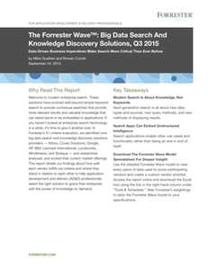 The Forrester Wave Big Data and Knowledge Discovery Solutions 2015 Report