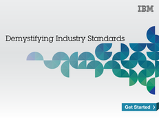 Demystifying Industry Standards, Standards processing: The Key to Simplifying B2B Integration
