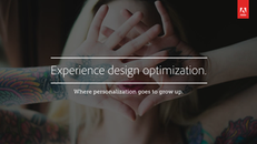 Experience Design Optimization
