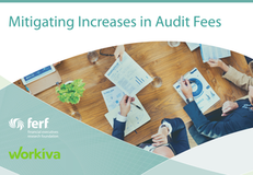 7 Ways to Mitigate Increases in Audit Fees