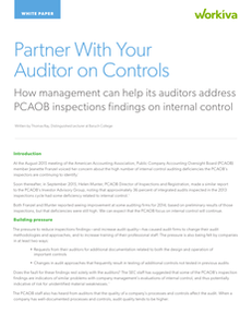 5 Ways to Partner With Your Auditor on Controls