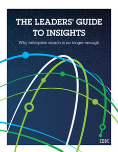 The Leaders Guide to Insights