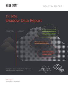 Shadow Data Report