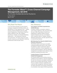 The Forrester Wave™: Cross-Channel Campaign Management, Q2 2016