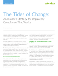 An Insurer’s Strategy for Regulatory Compliance
