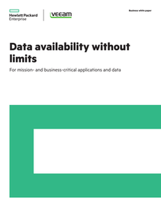 Data Availability Without Limits