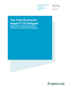 The Total Economic Impact Of Selligent