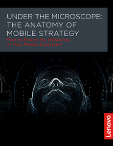 The Anatomy of Today’s Mobile Organization