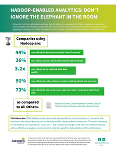 Hadoop-Enabled Analytics: Don’t Ignore the Elephant in the Room