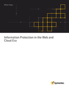 Information Protection in the Web and Cloud Era
