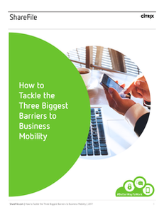 How to Tackle the Three Biggest Barriers to Business Mobility