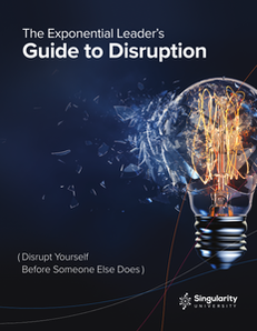 The Exponential Leader’s Guide to Disruption shows how to disrupt yourself before someone else does.