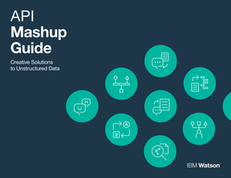 The Watson API Mashup Guide