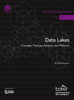 Data Lakes, Purposes, Practices, Patterns and Platforms