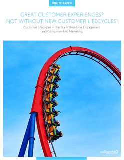 Customer Lifecycle: Customer Experience