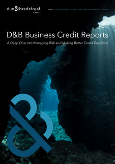 D&B Business Credit Reports