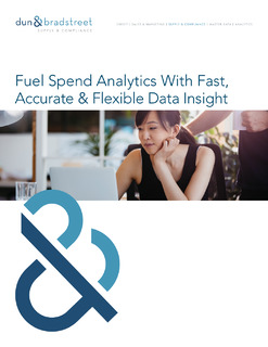 Fuel Spend Analytics With Fast, accurate & Flexible Data Insight (UK)