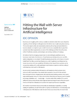Hitting the Wall with Server Infrastructure for Artificial Intelligence