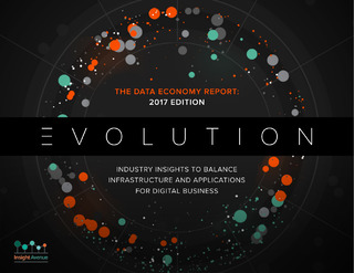 The Data Economy Report: 2017 Edition