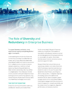 The Role of Diversity and Redundancy in Enterprise Business