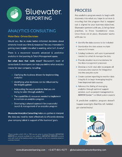 Bluewater Reporting: Analytics Consulting