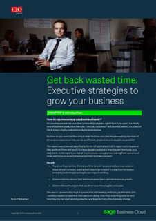 Get Back Wasted Time: Executive Strategies To Grow Your Business