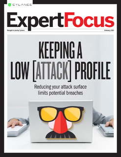 ExpertFocus: Keeping a Low Attack Profile