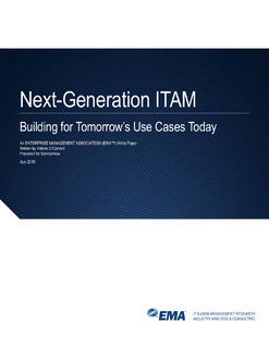 Next-generation ITAM