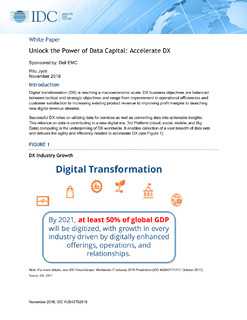 Unlock the Power of Data Capital: Accelerate DX