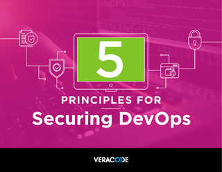 5 Principles for Securing DevOps