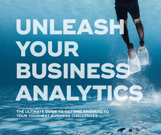 Unleash Your Business Analytics