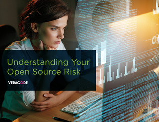 Understanding Your Open Source Risk