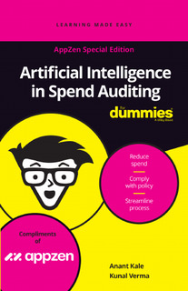 Artificial Intelligence in Spend Auditing for Dummies
