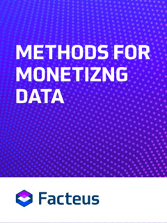 Explore 4 Methods for Monetizing Information and Data