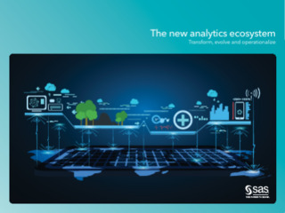 The new analytics ecosystem