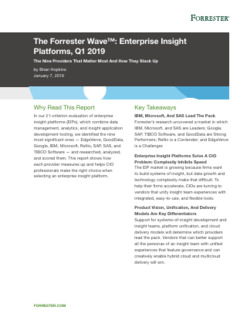 Forrester Wave: Enterprise Insight Platforms. The Nine Providers That Matter Most And How They Stack